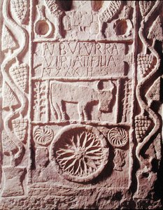 ビリアサスの娘であるブトゥラのステラ（紀元前180〜139年）、スペインルシタニア人の首長 作： Roman Roman